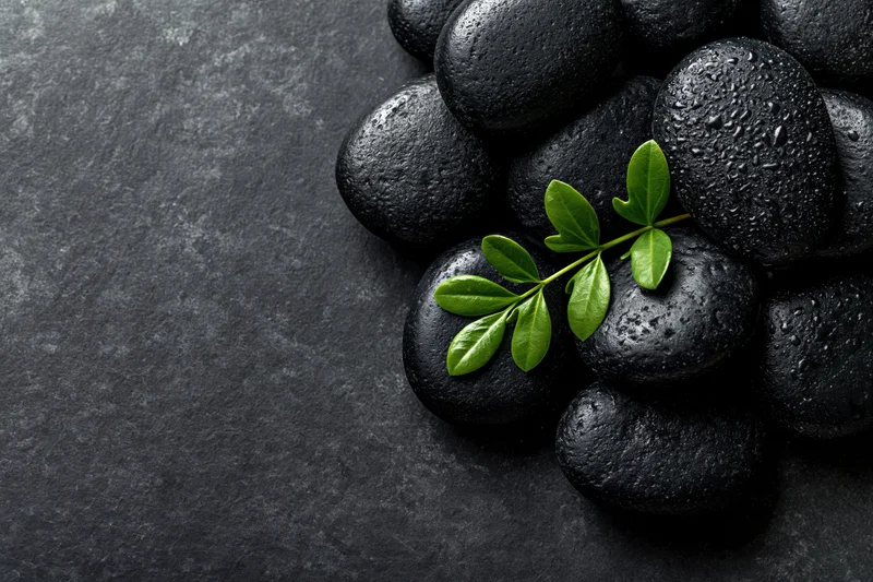 Polished black basalt spa stones clustered with a green leaf on a dark slate surface