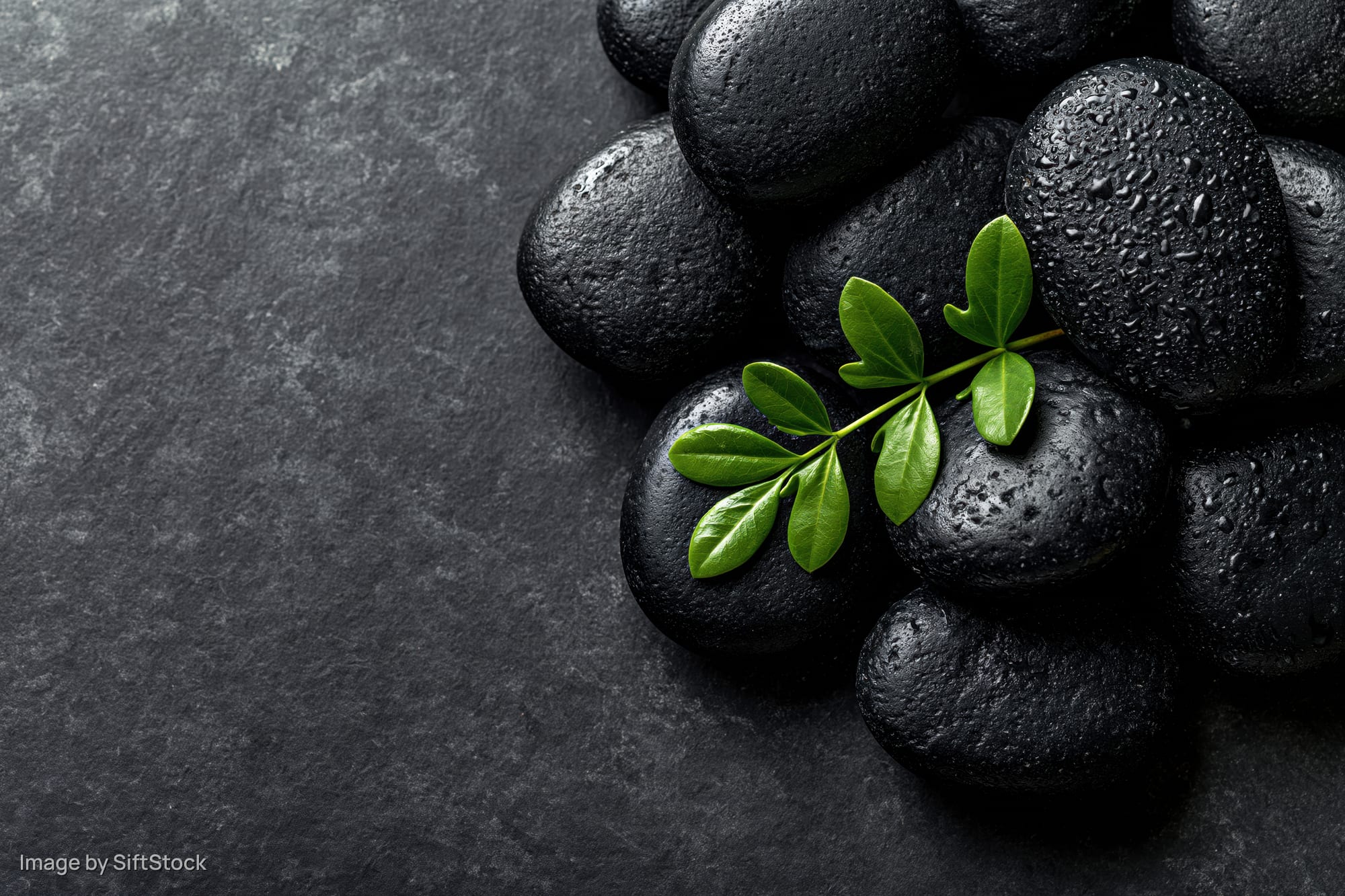 Polished black basalt spa stones clustered with a green leaf on a dark slate surface