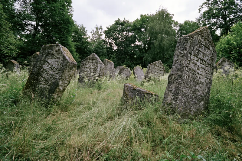 Weathered jewish gravestones with hebrew inscriptions standing in overgrown grass among trees