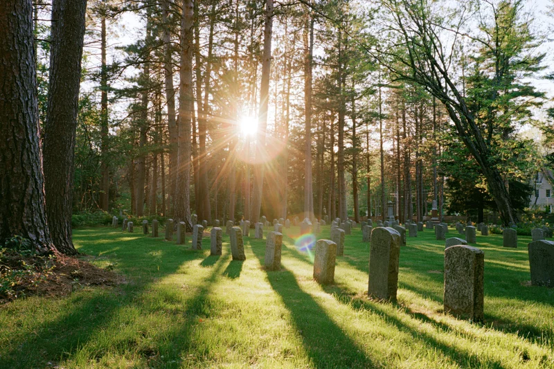 Rows of granite headstones in a grassy cemetery surrounded by tall pine trees with sunlight streaming through the trees at dawn