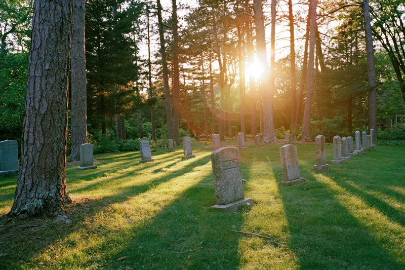 Rows of simple granite headstones in a quiet cemetery surrounded by tall pine trees at sunrise