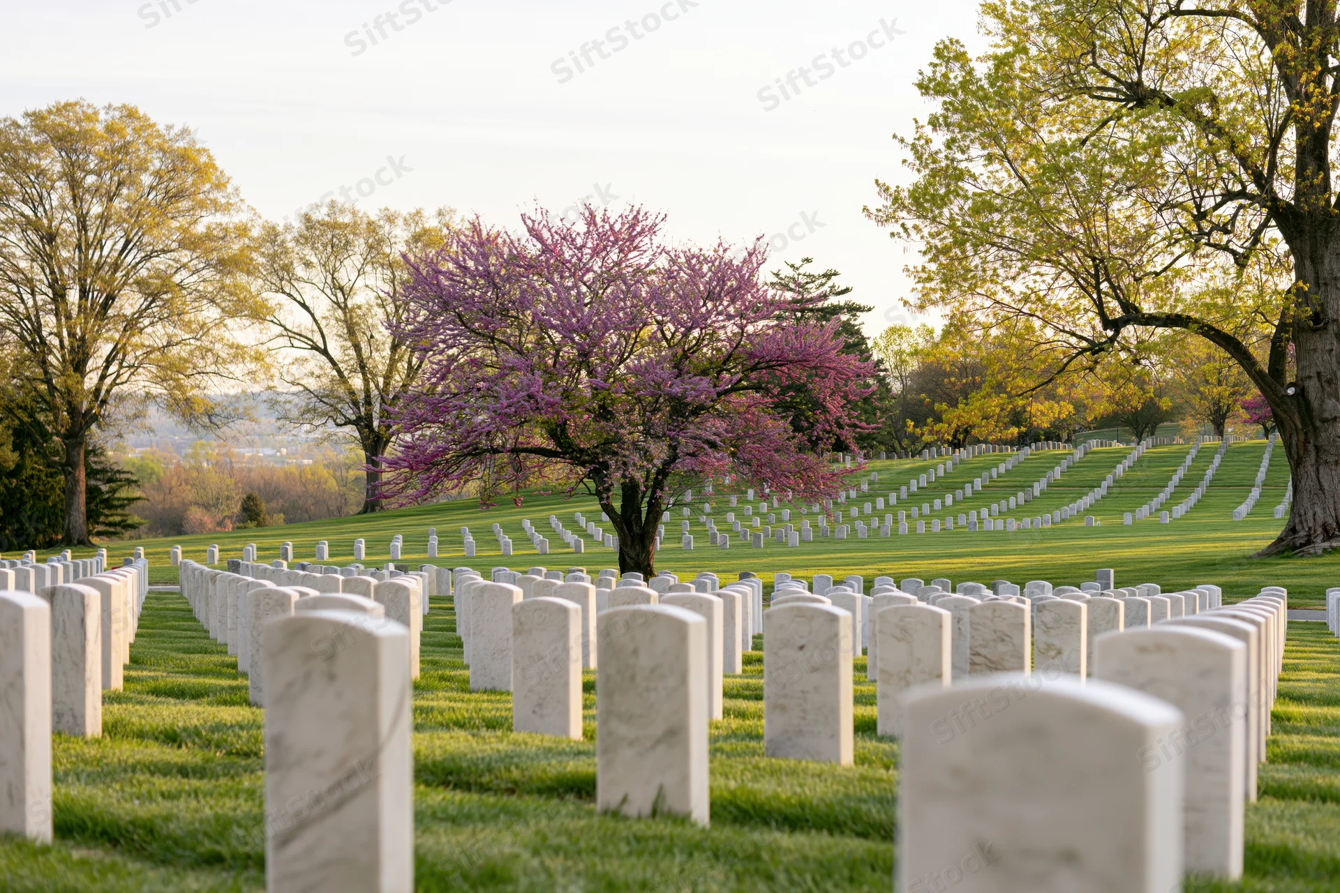 Rows of white marble headstones aligned across a grassy cemetery with blooming trees in spring