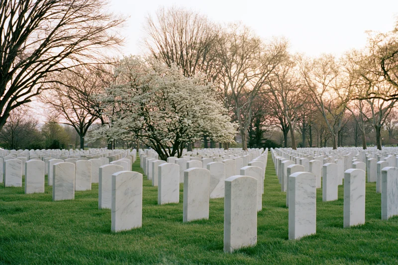 Rows of white marble headstones aligned in neat rows across a green lawn with blooming cherry trees at dawn