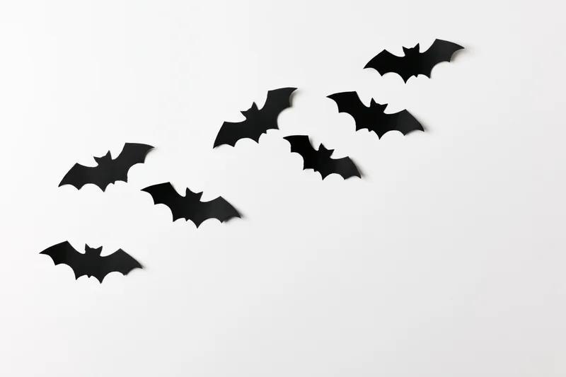 Seven black paper bat cutouts arranged diagonally on white surface