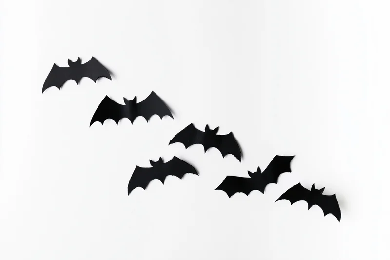 Black paper bat cutouts arranged diagonally on white background