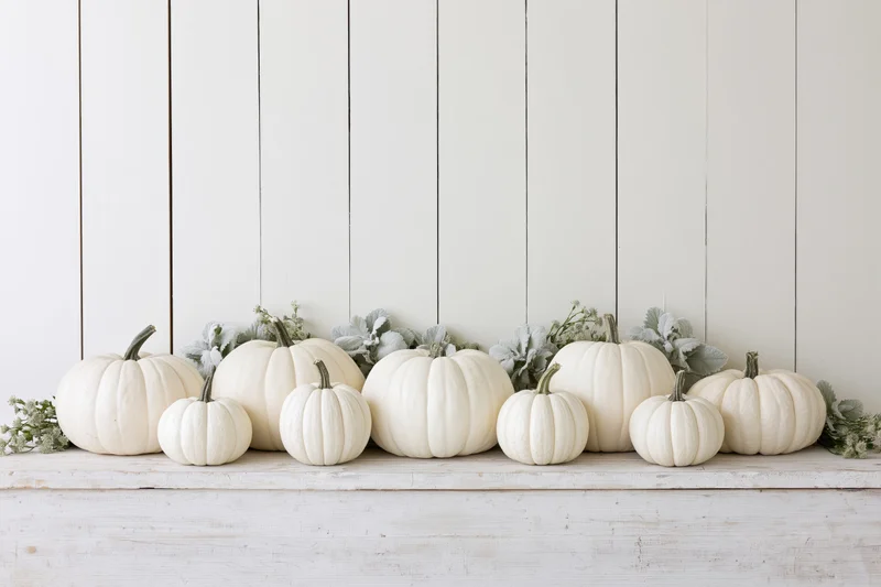 White pumpkins of varying sizes arranged in a row on a wooden shelf with greenery against a white plank wall