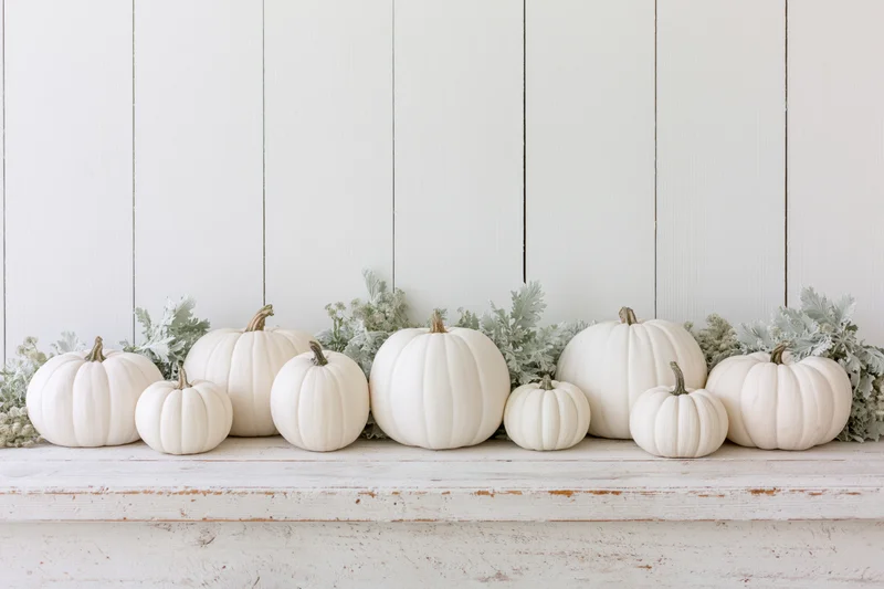 White pumpkins of various sizes arranged in a row on a rustic wooden shelf with dusty green foliage against a white paneled wall