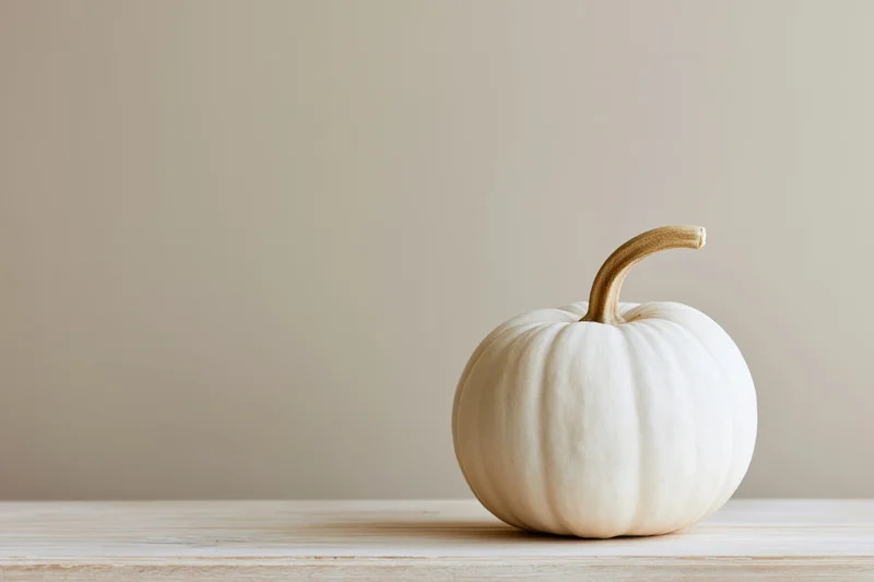 Small white heirloom pumpkin with curved tan stem on wooden table