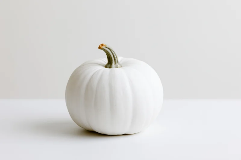 Small white pumpkin with pale grey-green stem on white surface