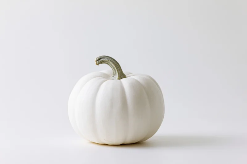 Small white pumpkin with pale grey-green stem on white surface