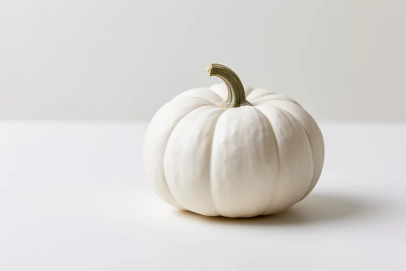 Small white pumpkin with pale grey-green stem on white surface