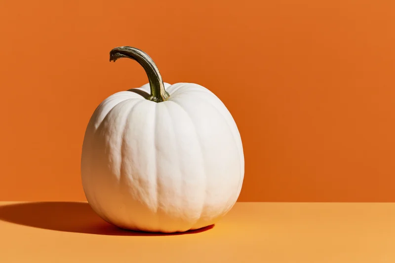 White pumpkin with curved stem resting on orange surface