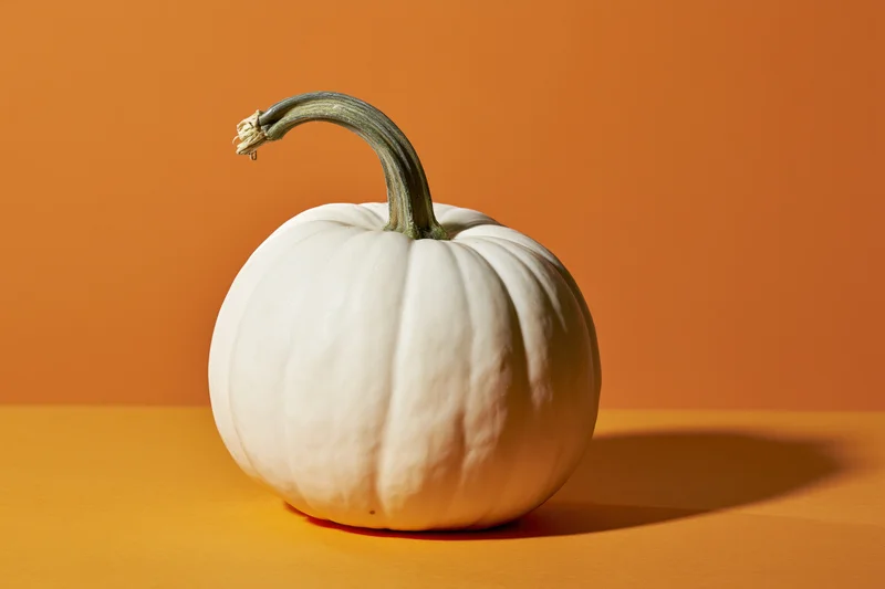 White pumpkin with curved stem resting on orange surface