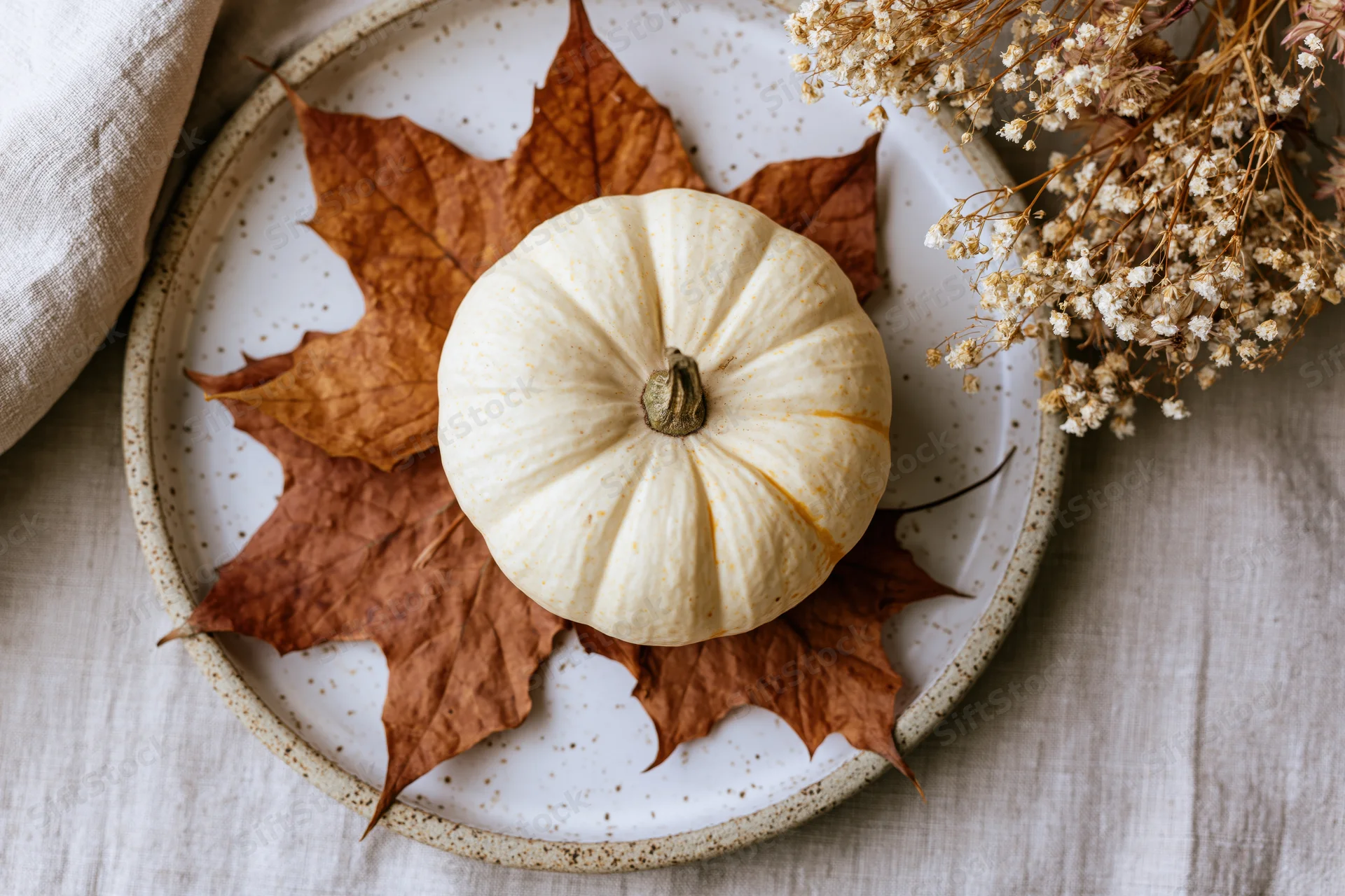 Small cream pumpkin on dried maple leaves and baby's breath on a speckled ceramic plate atop linen fabric