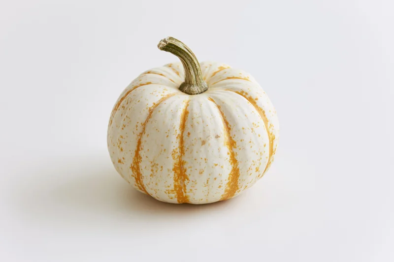 Small white pumpkin with orange speckles and ribs on a plain white surface