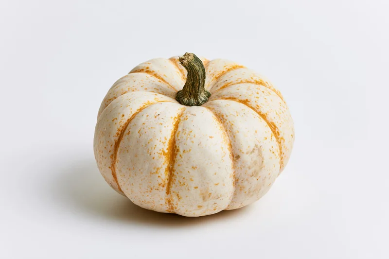 Small cream-white speckled decorative pumpkin on white background