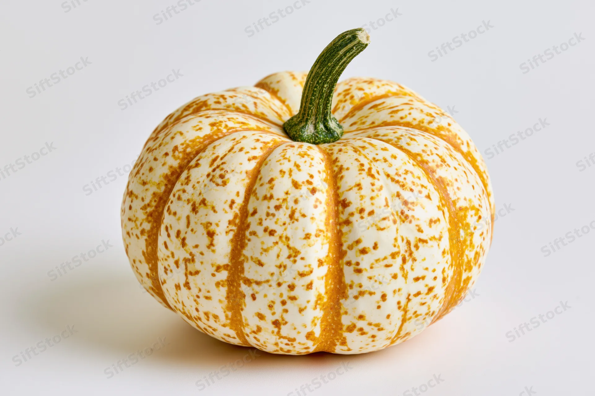 Small decorative pumpkin with cream and orange mottled stripes on white background