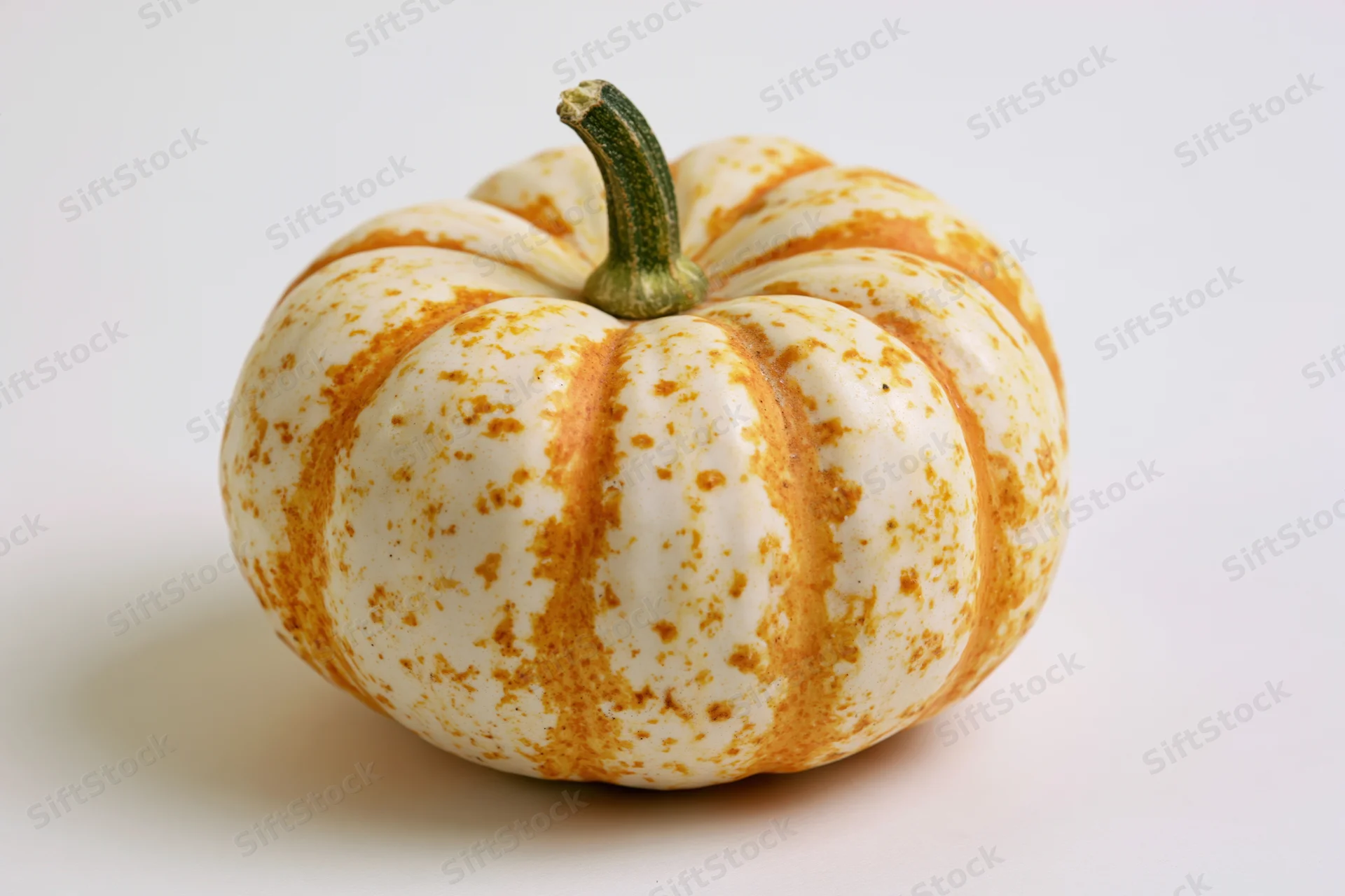 Small decorative pumpkin with cream and orange striped mottled skin on white background