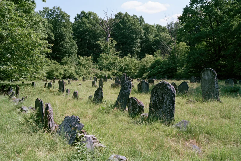Weathered gravestones scattered across a grassy field surrounded by dense trees in a rural colonial-era cemetery