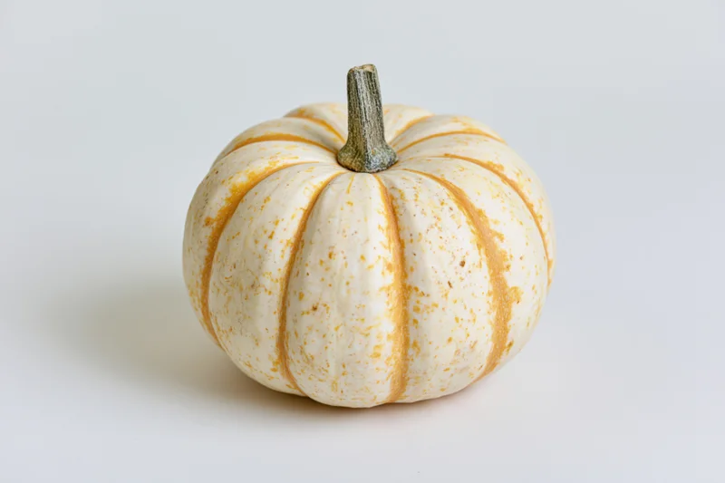 Small white and orange-striped decorative pumpkin on a plain white surface