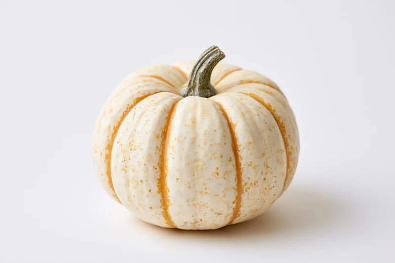 Small white and orange-striped decorative pumpkin on a white background