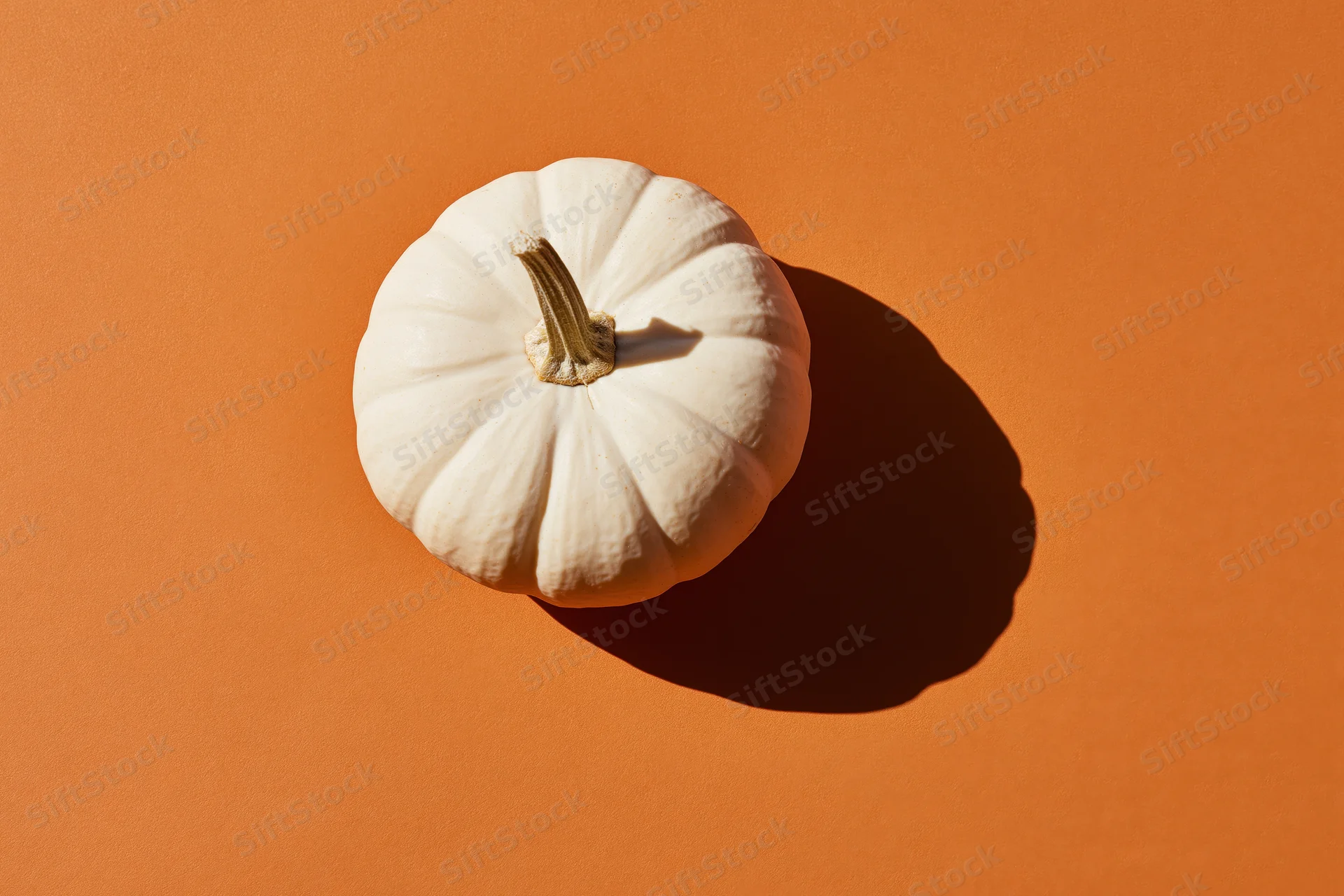 White pumpkin with dried stem on orange surface in flat lay view
