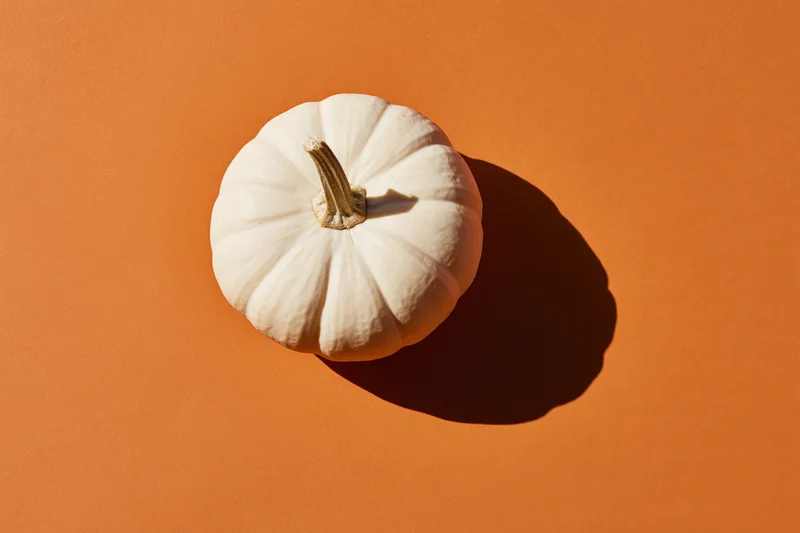 White pumpkin with dried stem on orange surface in flat lay view