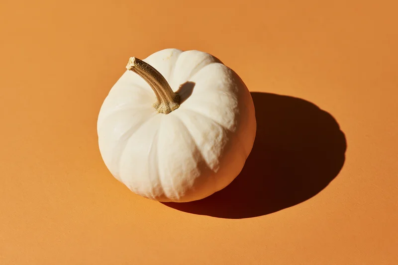 White pumpkin with dried stem on orange surface