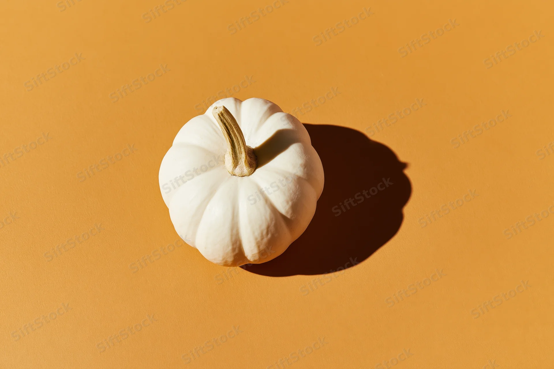 White pumpkin with dried stem on orange surface, top view