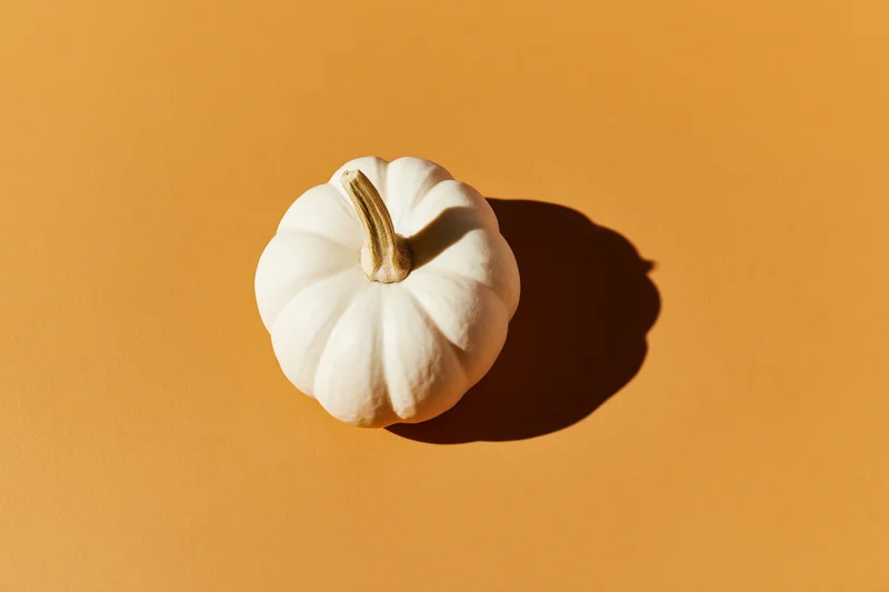 White pumpkin with dried stem on orange surface, top view