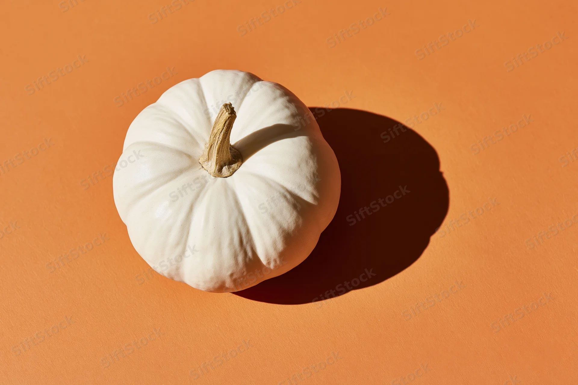 White pumpkin with dried stem on orange background