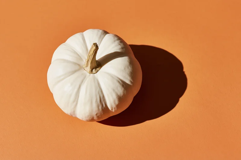 White pumpkin with dried stem on orange background
