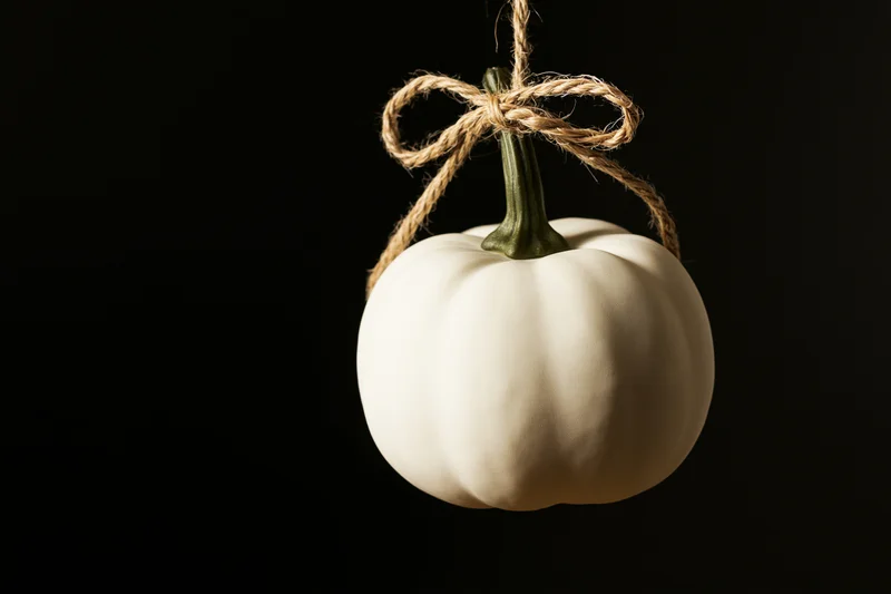 White decorative pumpkin hanging by a twine bow against black background