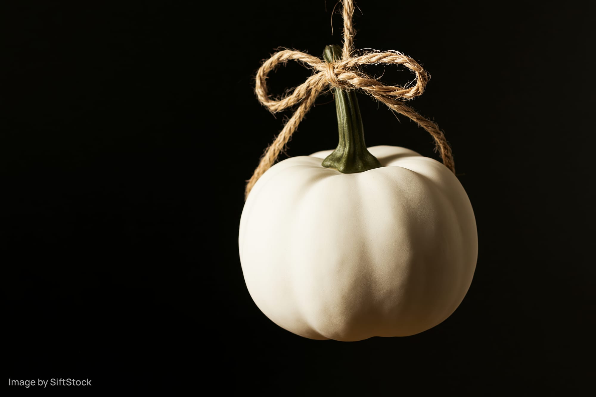 White decorative pumpkin hanging by a twine bow against black background
