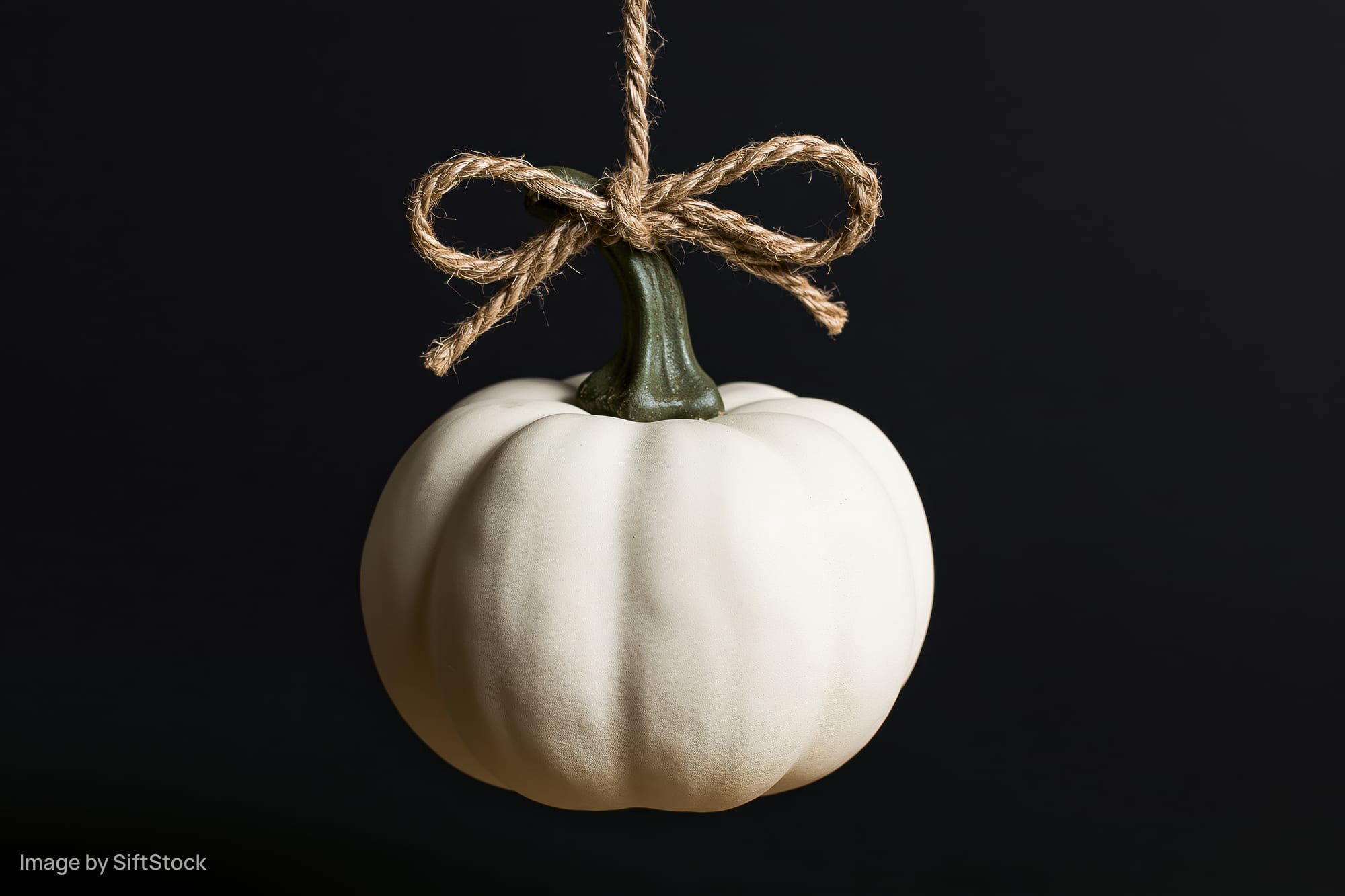 White decorative pumpkin hanging by a twine bow against black background