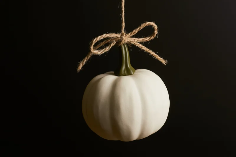 White decorative pumpkin hanging by twine bow against black background