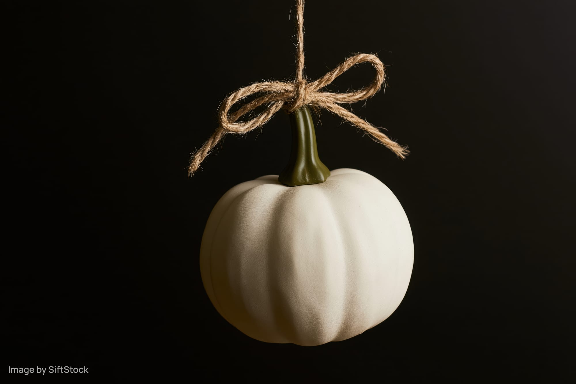 White decorative pumpkin hanging by twine bow against black background