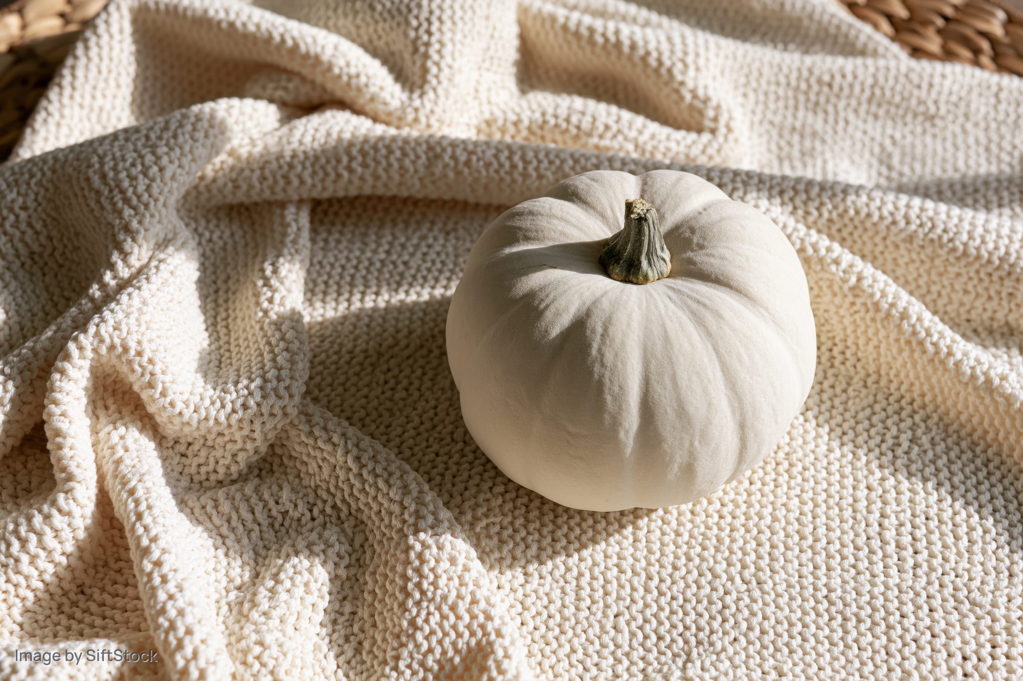 White pumpkin resting on draped cream knit fabric in soft sunlight