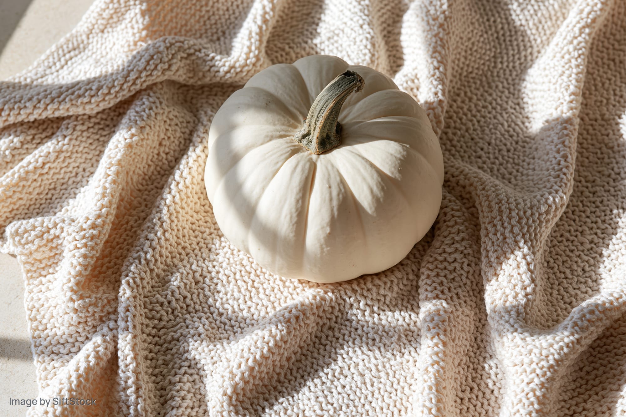 White pumpkin resting on draped cream knit fabric in soft sunlight