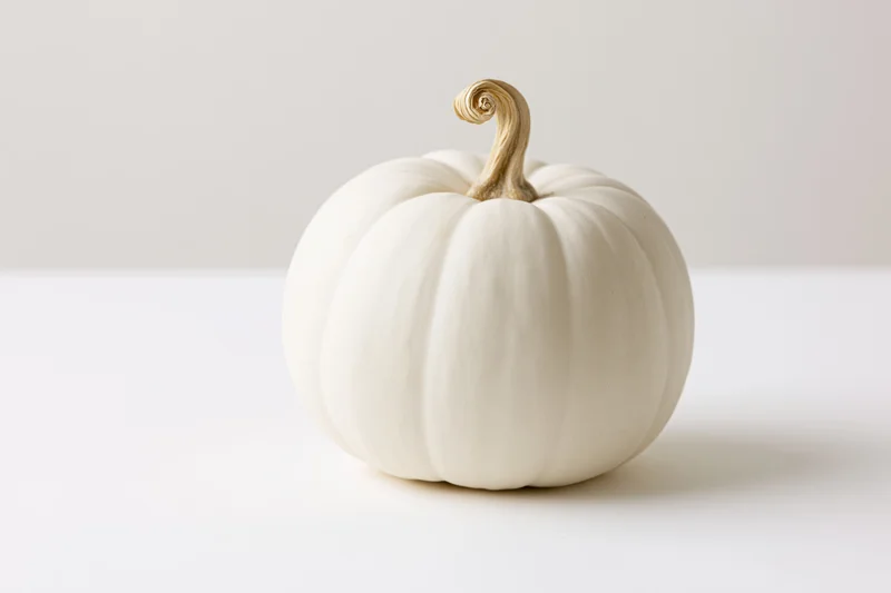 White pumpkin with curved stem on a plain white surface