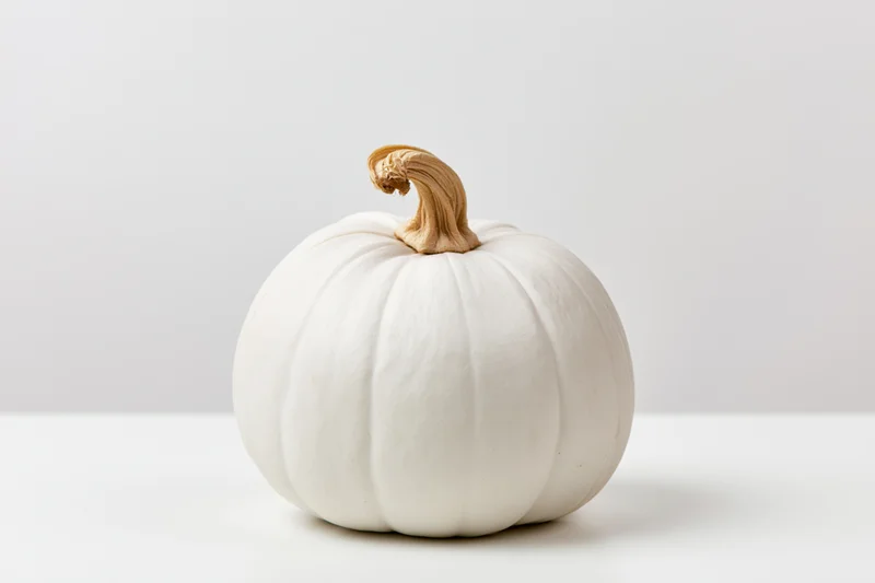Small white pumpkin with curved stem resting on white surface