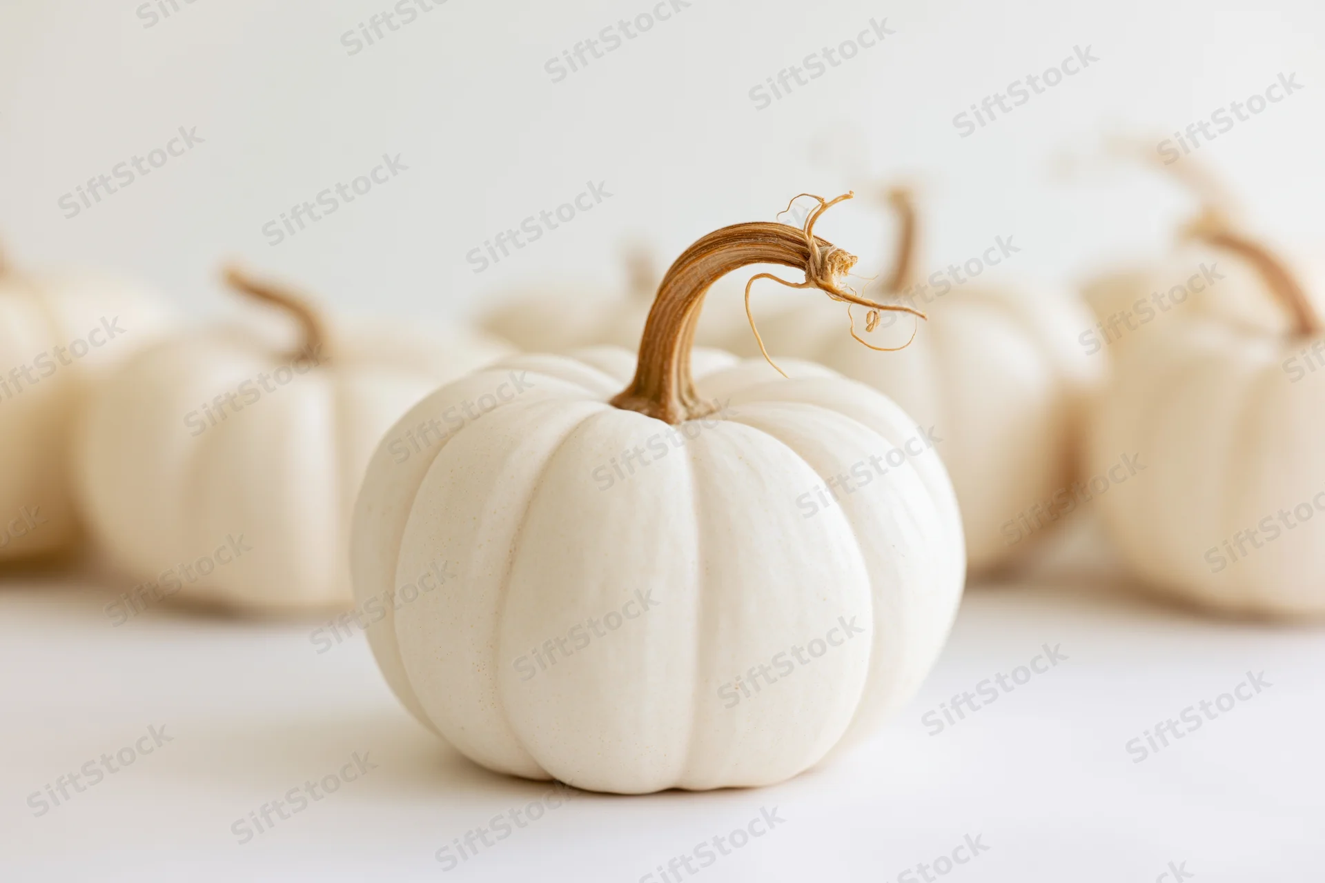 Small white pumpkin with curved brown stem arranged in a row on a white surface