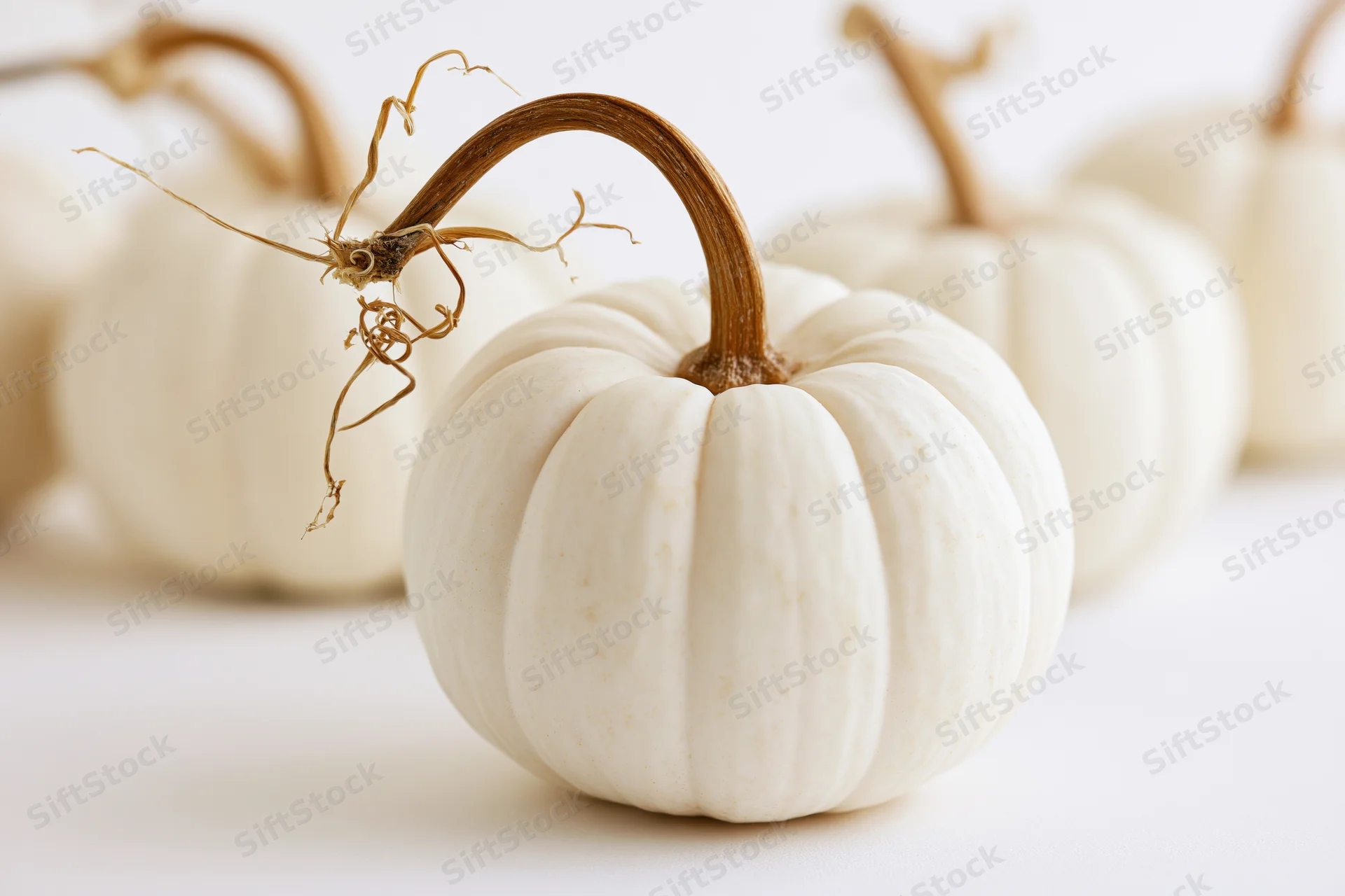 Small white pumpkin with curved stem on white surface