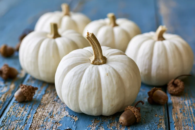 White ghost pumpkins arranged on a weathered blue wooden surface with scattered acorns