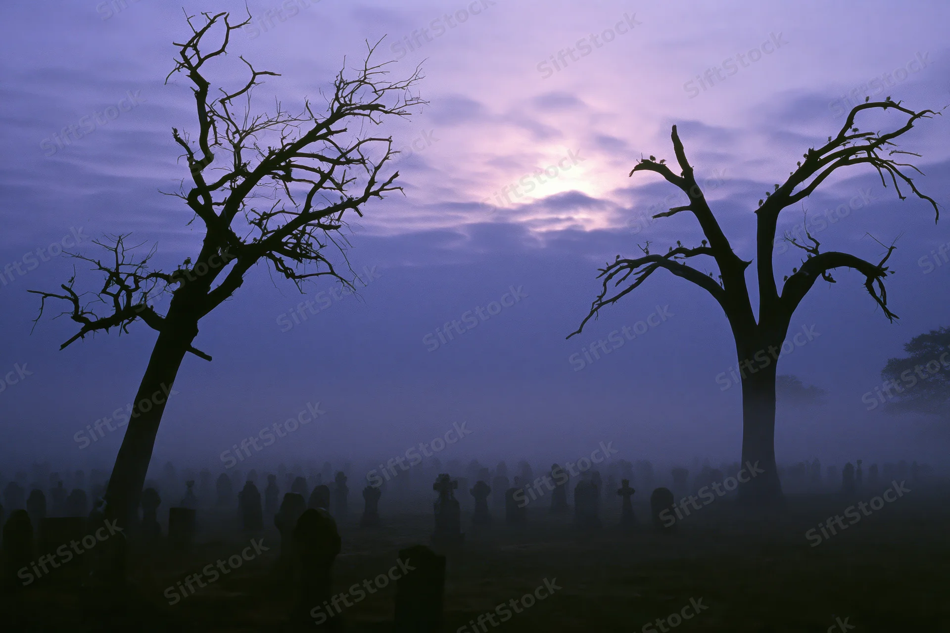 Silhouetted bare trees and tombstones in a foggy graveyard at twilight