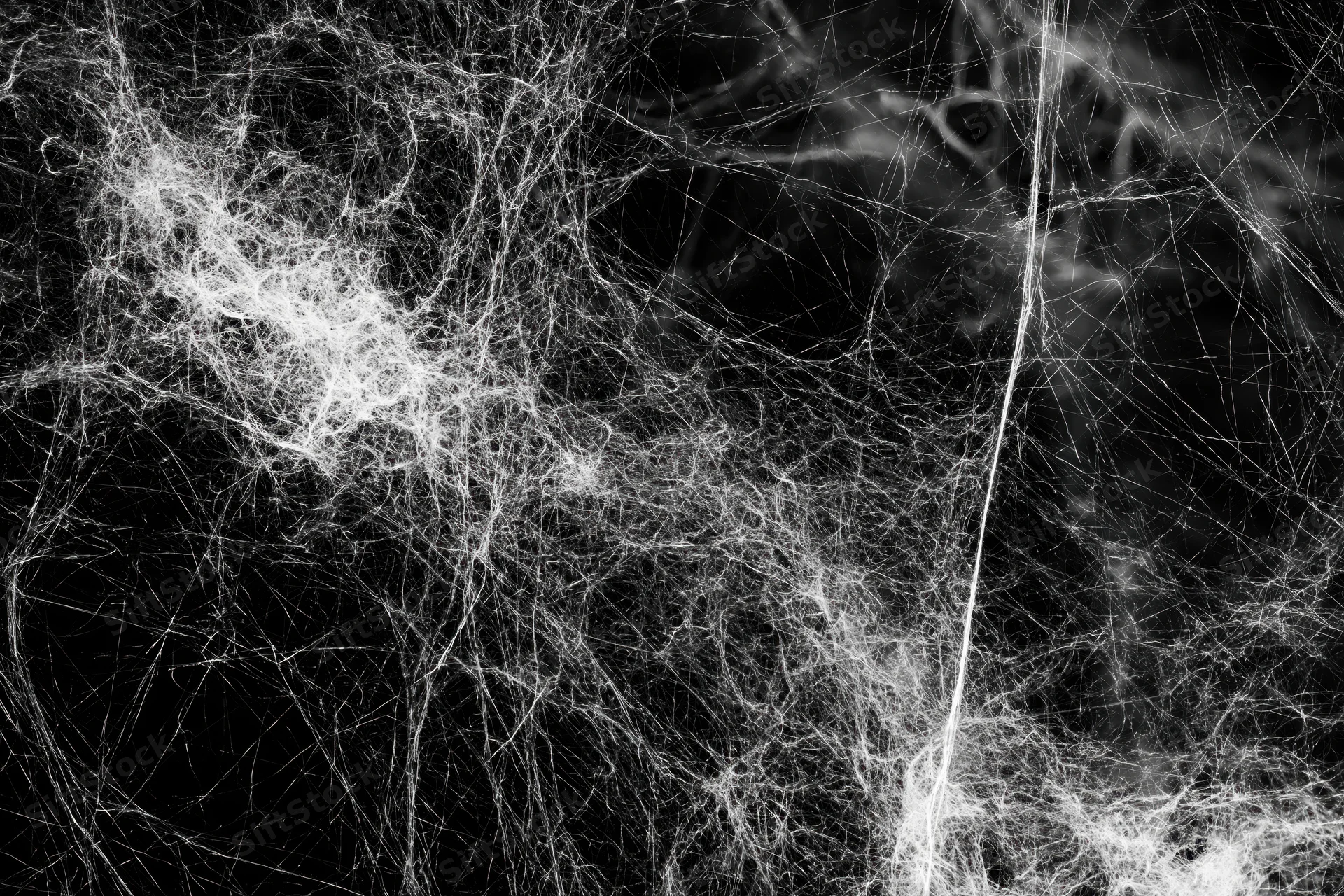 Tangled white cobwebs stretched across a flat black background