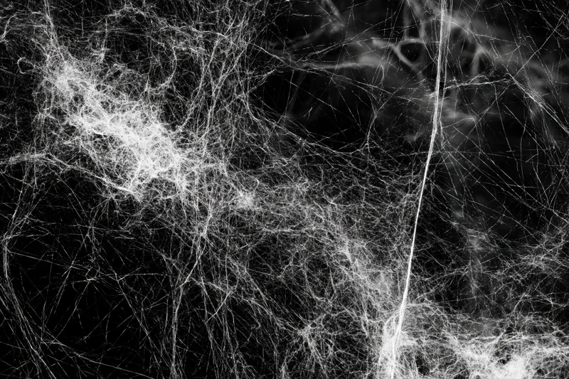 Tangled white cobwebs stretched across a flat black background