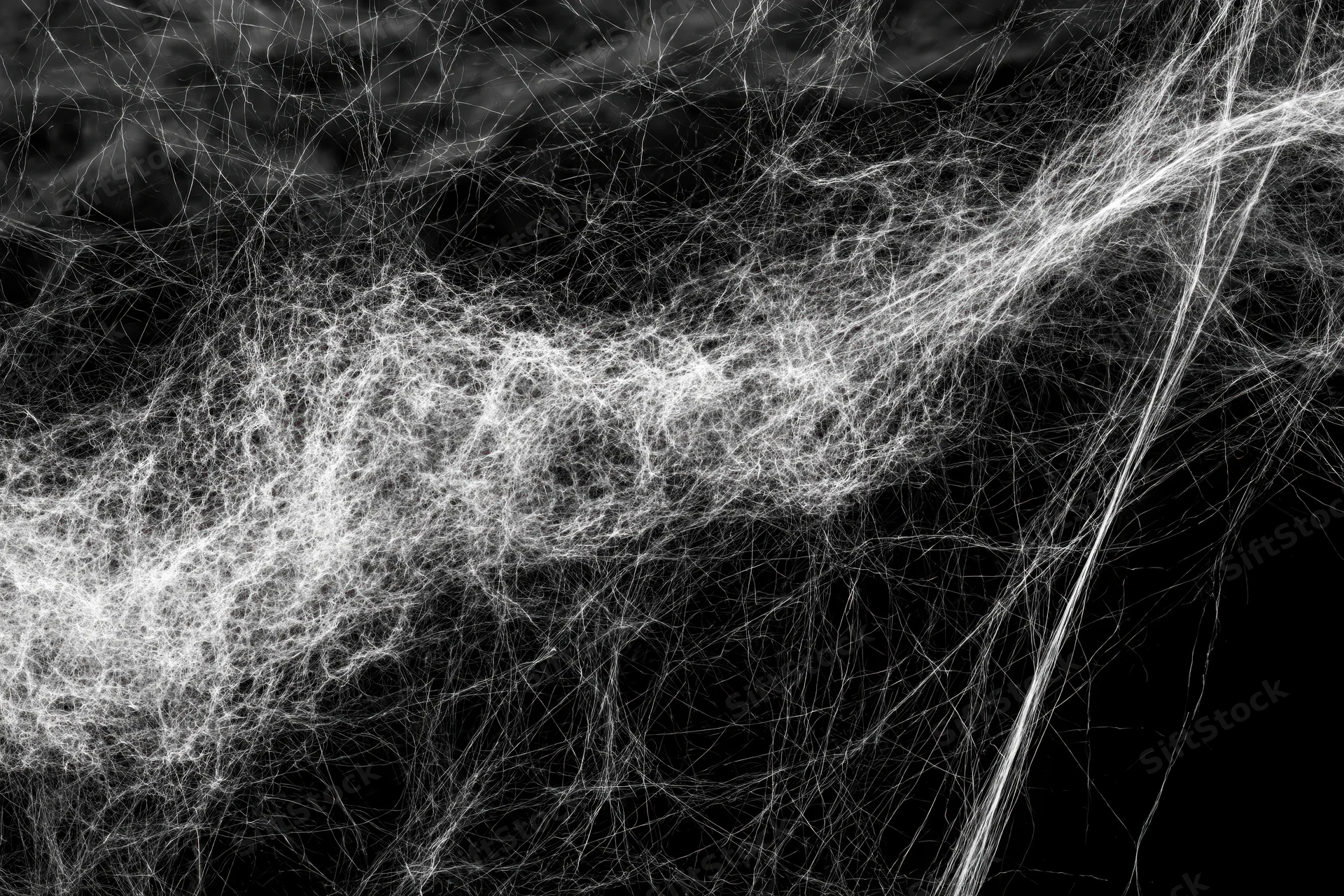 Tangled white cobwebs stretched across a flat black background