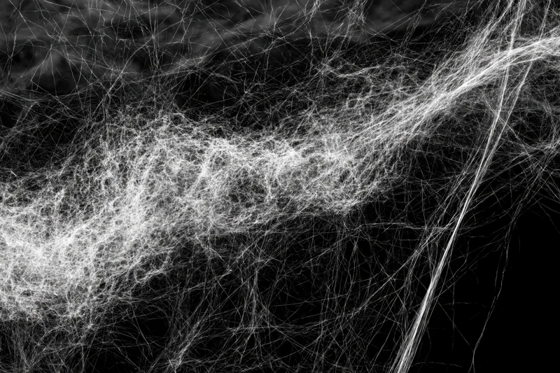 Tangled white cobwebs stretched across a flat black background