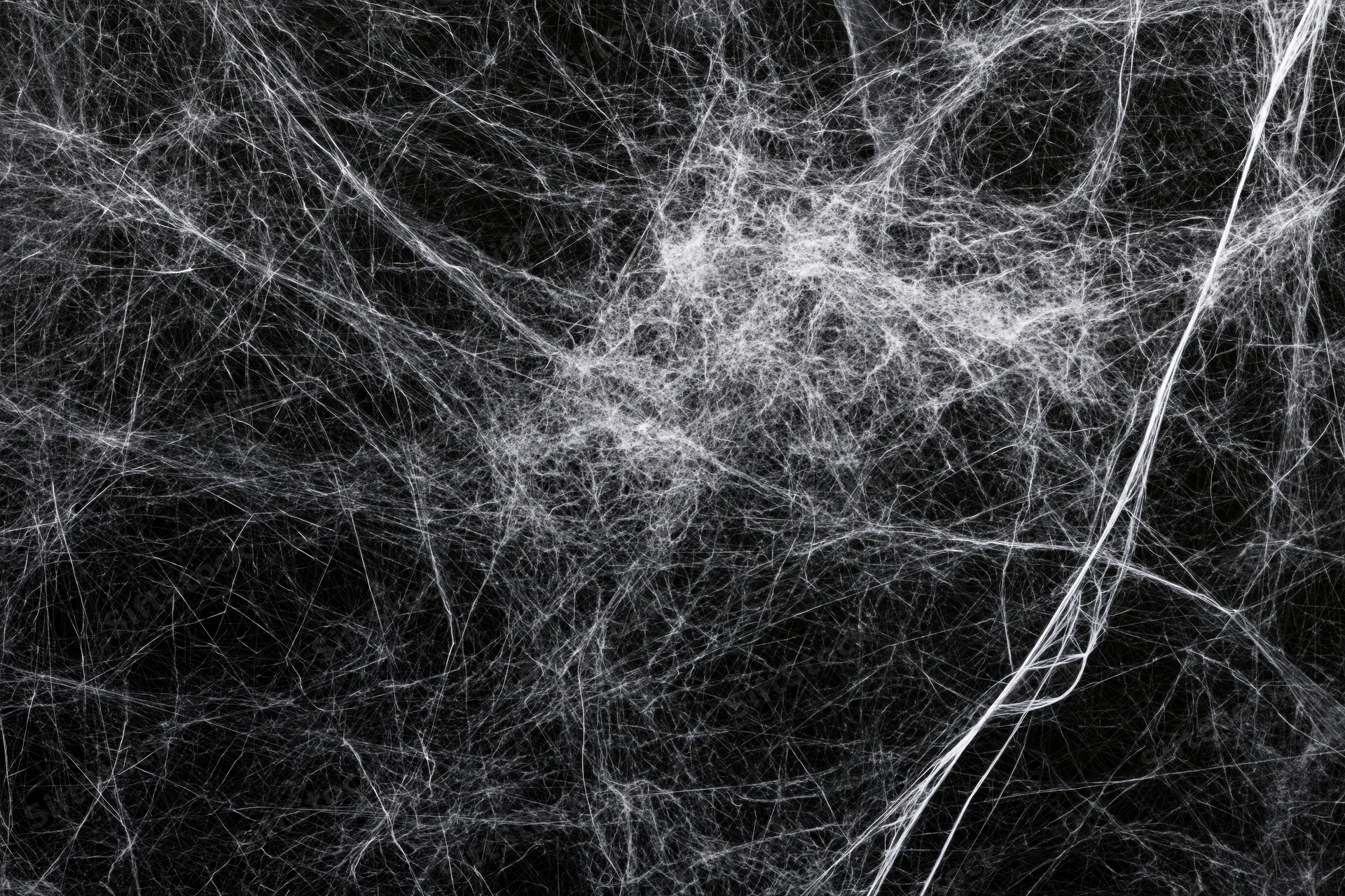 Tangled white cobwebs spread across a flat black background